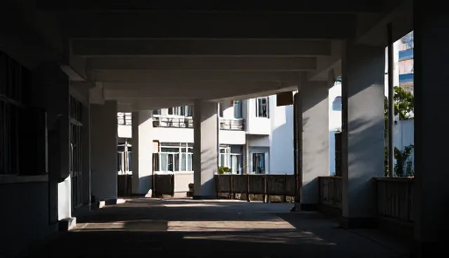 在哪公司建设网站：企业黄页的使用与维护建议