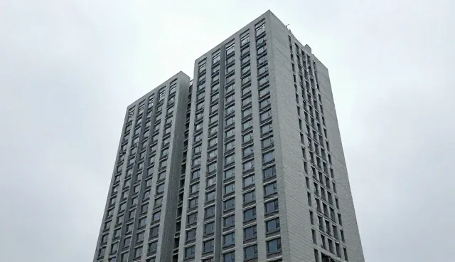 财税咨询在品牌建设中的实际应用问题分析