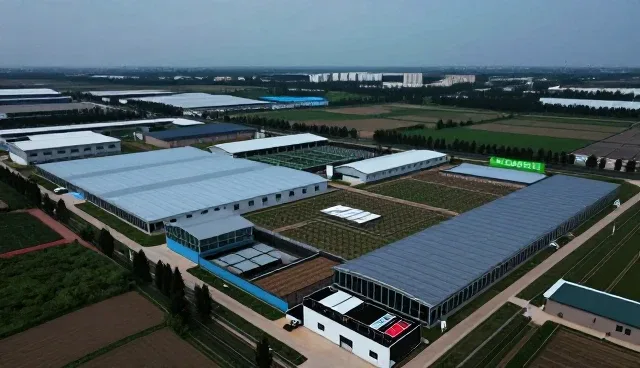产品选型中的技术服务难点与应对策略