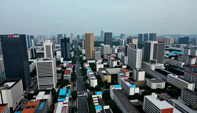 技术适配中的常见问题与处理策略