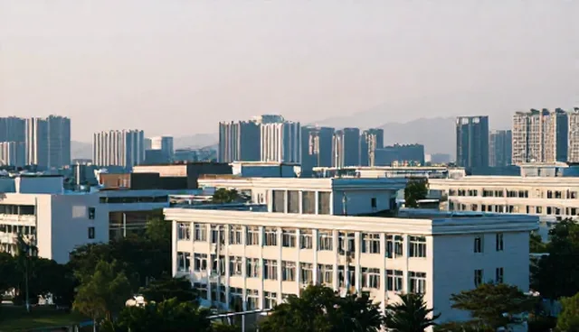系统稳定性如何影响网络效率提升