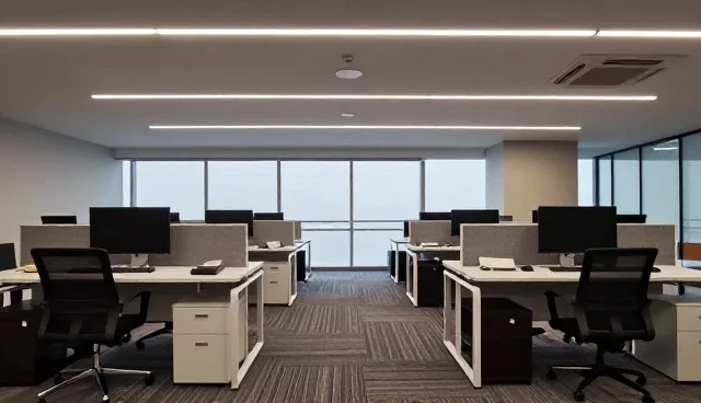 管理软件维护策略常见问题与处理建议