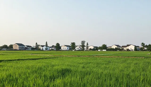 租户装修需求升级推动业务支持体系重构