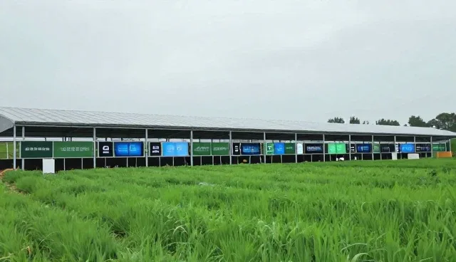 数据安全系统环境配置中的常见问题及优化建议