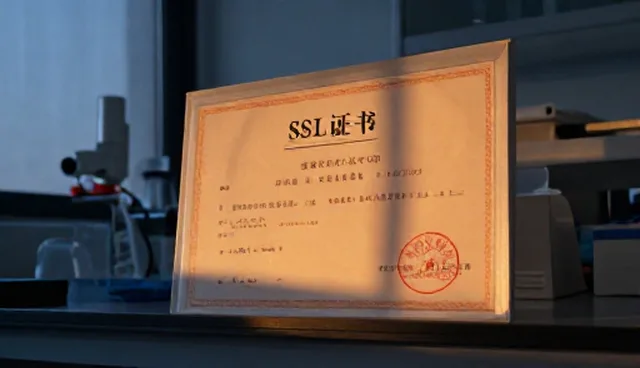 SSL证书选型中需关注的五大关键因素