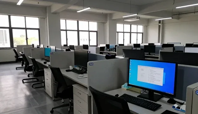 域名管理在APP开发中的常见问题及应对策略