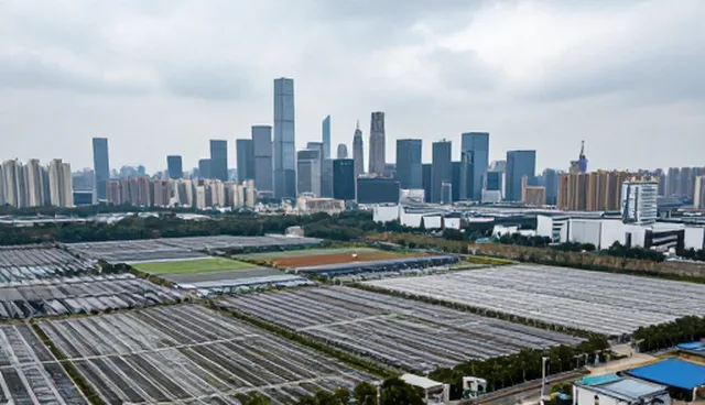 运维支持服务在不同性能需求下的实际应用分析