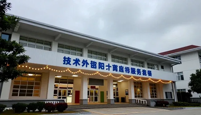技术外包服务如何支撑组织能力的高效提升
