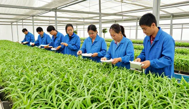 基地合作中种植技术指导的关键实践与优化路径