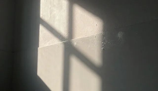 配送延误如何影响餐饮企业的运营效率？