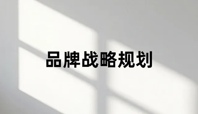项目咨询中选型关注点解析及应对策略