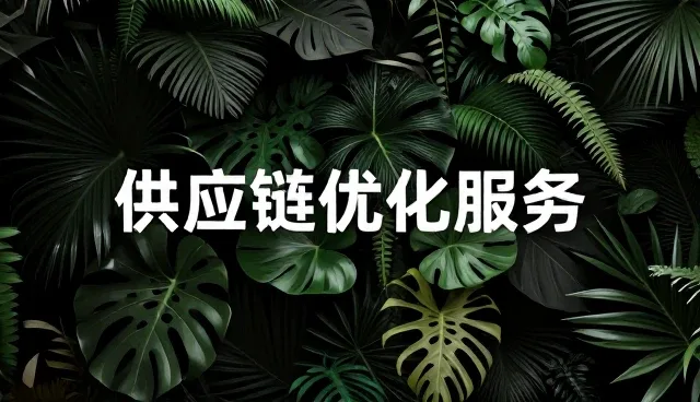 供应链服务选型中的优化策略与关键考量