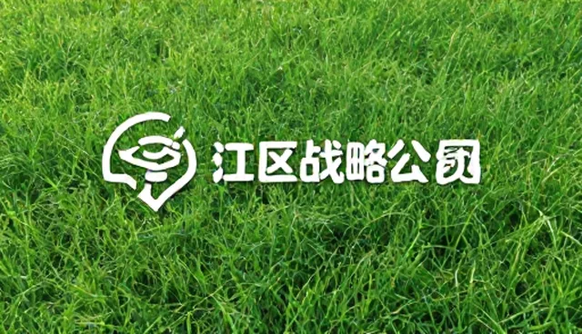 信息管理中的数据混乱问题及解决方向