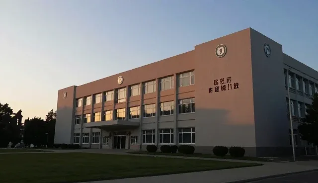 免费域名与付费域名的取舍，用户体验如何影响选择