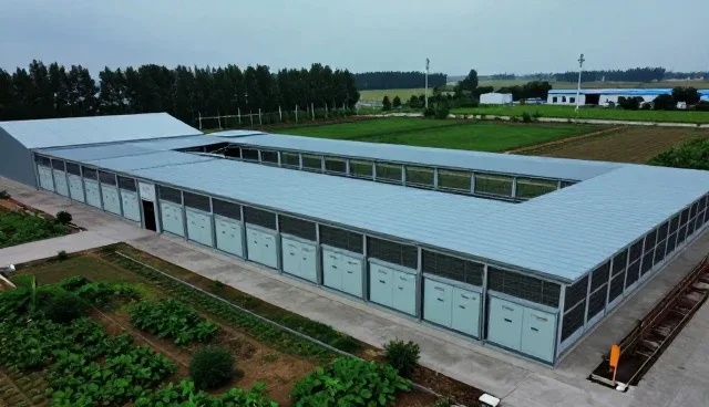 设备安装选型中的关键考量因素分析
