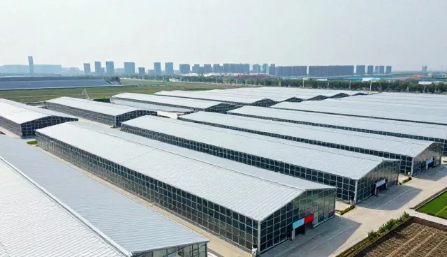 供求商机驱动黄页行业向聚合资讯平台转型