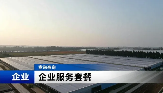 做网站建设的公司如何通过渠道拓展提升业务