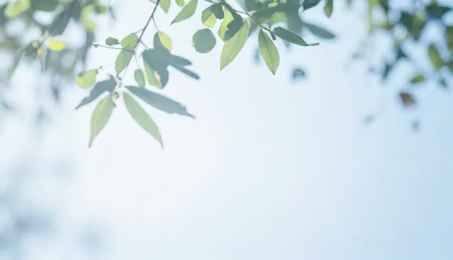 市场调研分析报告中管理办法的常见问题与处理策略
