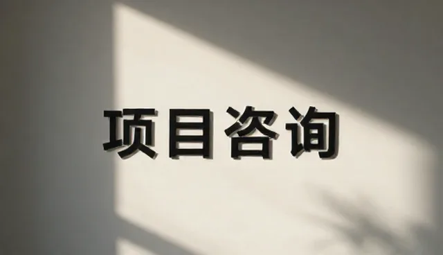 项目咨询在会务执行中的性能表现与适用场景分析
