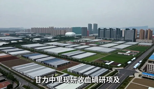 企业策划服务在市场调研中的应用与优化策略