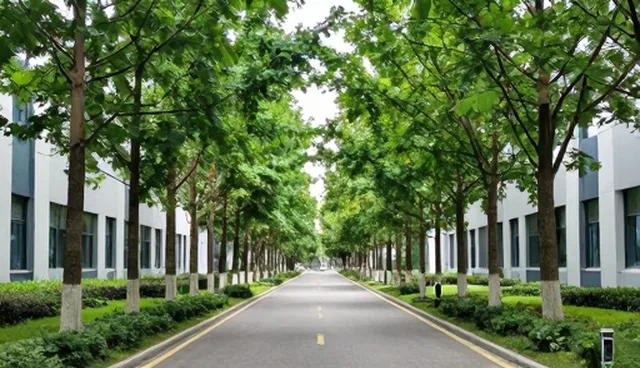 财税咨询服务在企业会务中的角色与发展趋势