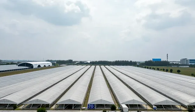 专业网站建设，如何通过ease4.0提升用户体验