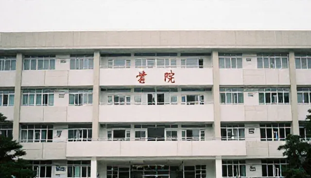 服务匹配中的定制开发流程与实践