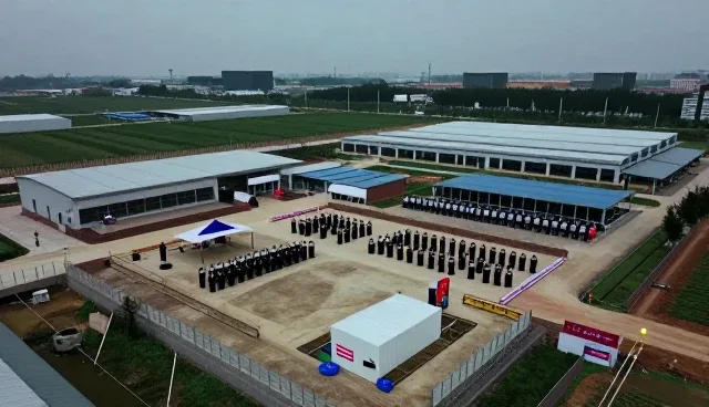 地区技术培训对性能优化的实际影响