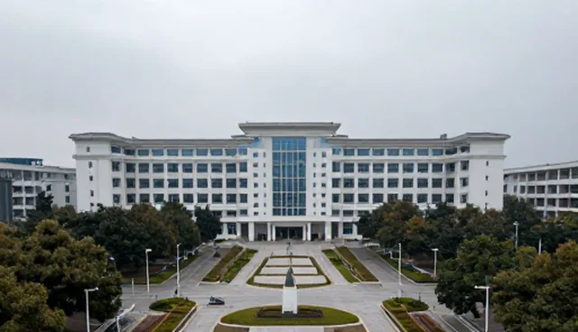 医药网站建设咨询电话，运输网络覆盖的应用场景分析