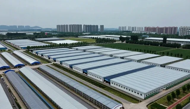 项目咨询如何通过业务优化提升会务执行效率