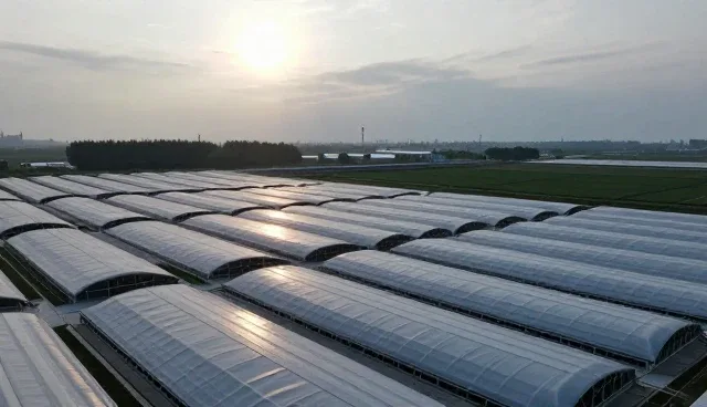 表面活性剂使用与维护建议，保障效果与安全