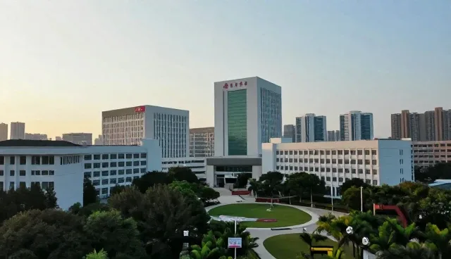 技术咨询中后续可维护性的适用情况与限制