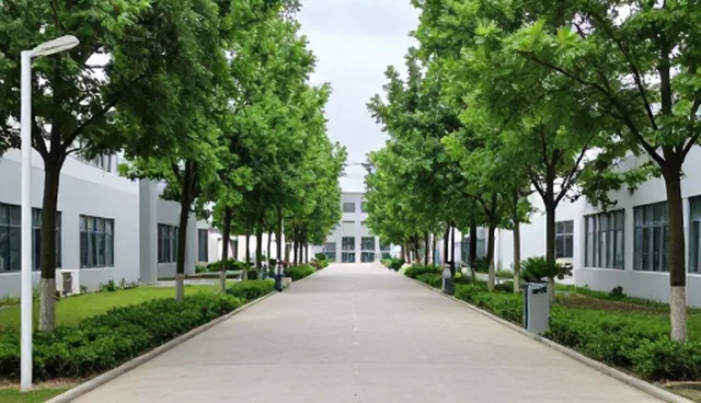 短视频拍摄中的定制文案创作如何适配不同场景需求