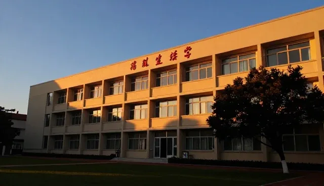 师资水平对学习效果的影响与应对策略