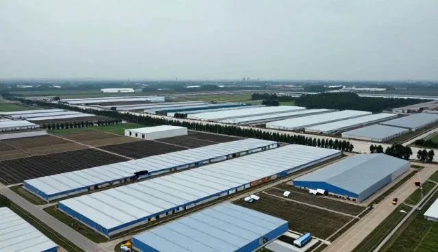 系统运维支持选型中的技术考量与实际应用