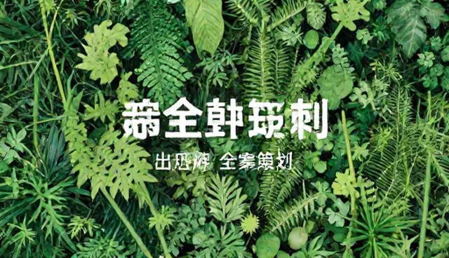 市场调研在品牌推广中的适用情况与限制