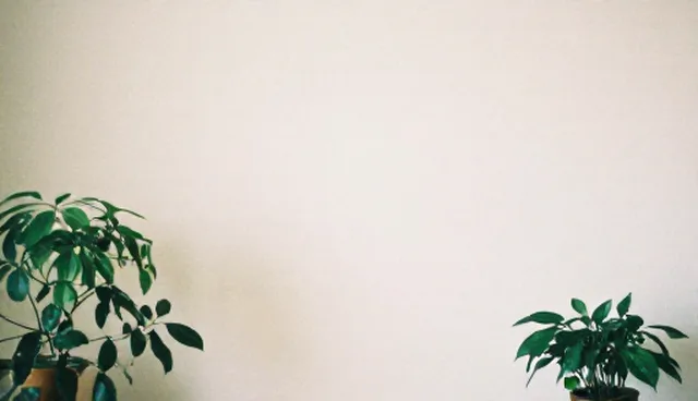 平面设计画面效果检查要点与处理方向
