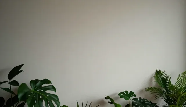 如何通过人员培训提升标准化保洁服务质量？