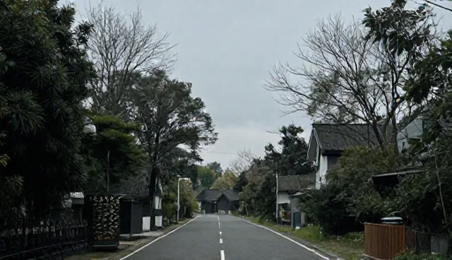 旅游线路策划：服务模式常见问题与处理方法