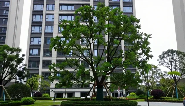 装饰材料适用边界：在哪些场景下适合使用，哪些条件下受限