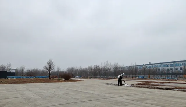 业务流程优化：害虫消杀防治策略的选择与取舍