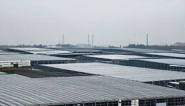 诊疗产品适用条件说明及选择依据