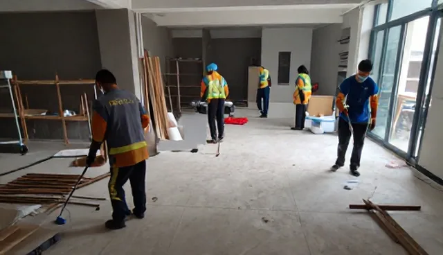 设施维护中绿化管理的选型建议与实际应用