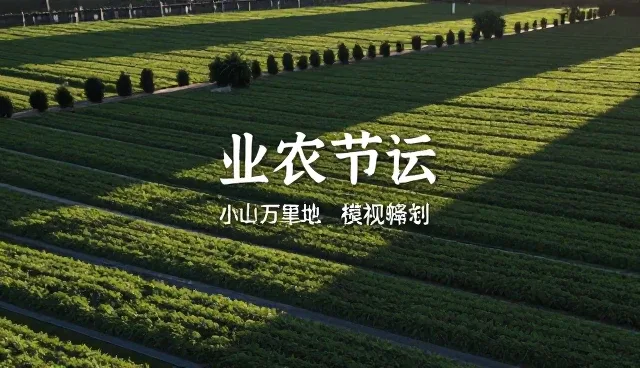 提升拍摄效率的文案创作策略与日常维护建议