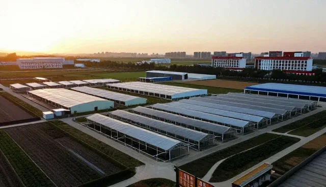 研学旅行中常见问题的应对策略与优化方案