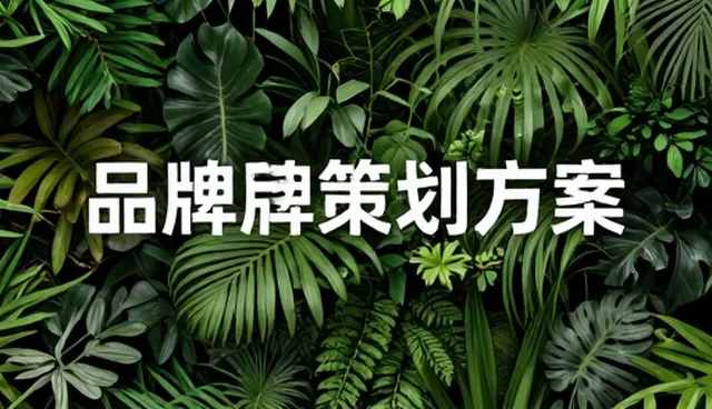 项目咨询中策划环节的关键影响因素分析