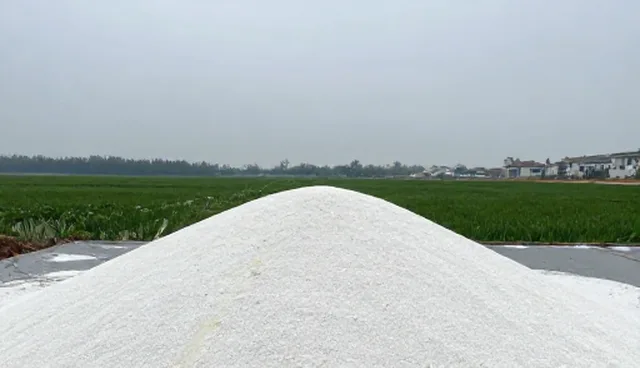 控释肥选型中的关键考量因素分析