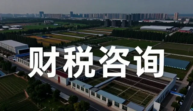 企业数字化转型中财税咨询的角色与实践路径