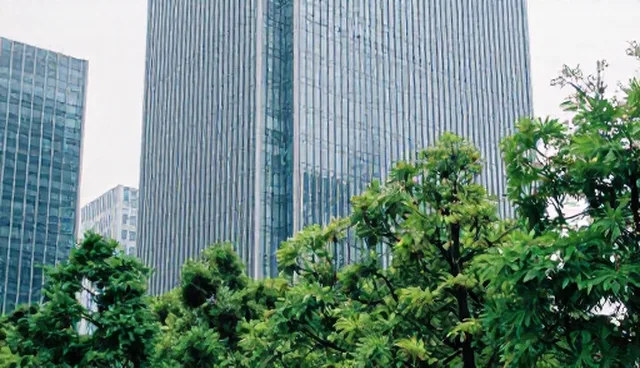 商务信息咨询系统性能优化策略与日常维护建议