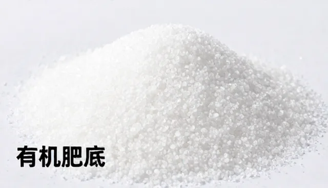 种植技术指导中的品种选择误区与正确理解